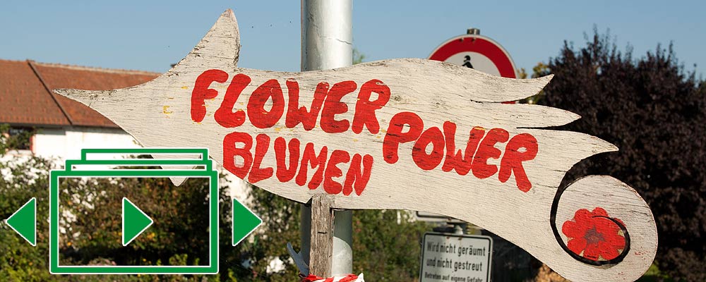 das slideshow-Fenster für 'flowerpower.bayern' anzeigen ...

Martina Spannruft - Floristikmeisterin - Werkstatt für Blumenkunst